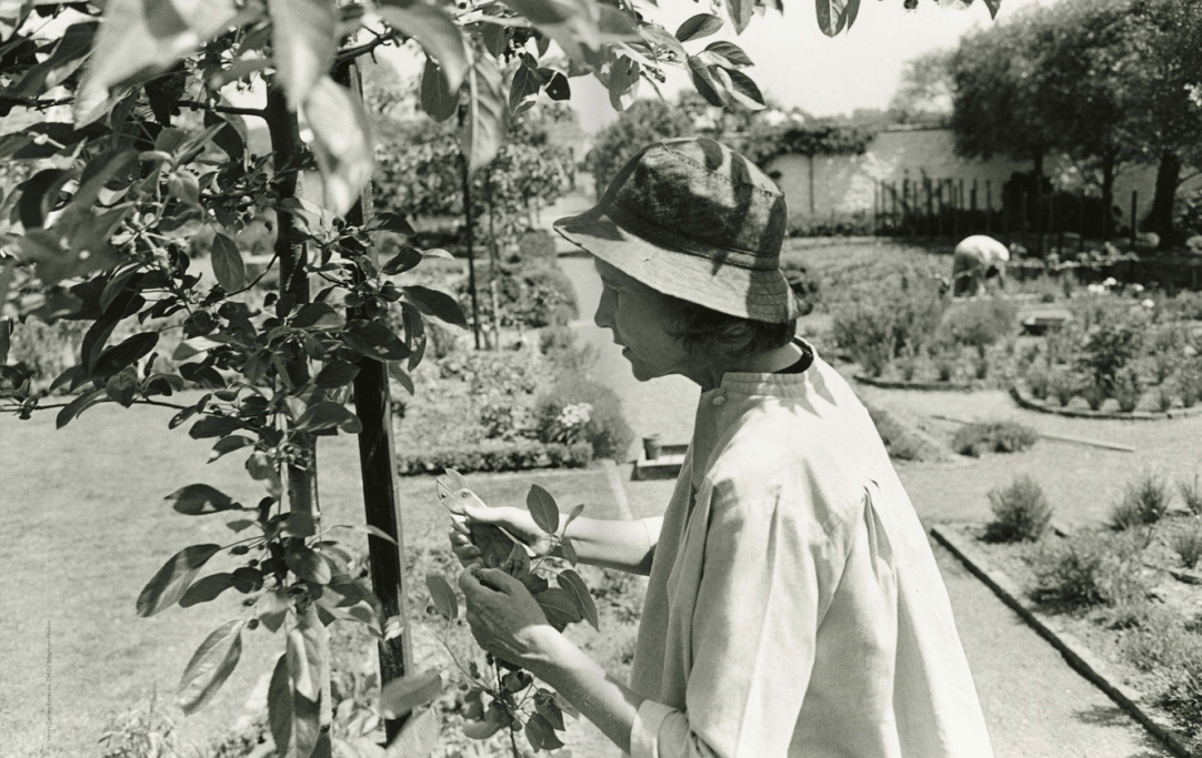 Screen shot 2014-10-27 at 8.52.42 AM