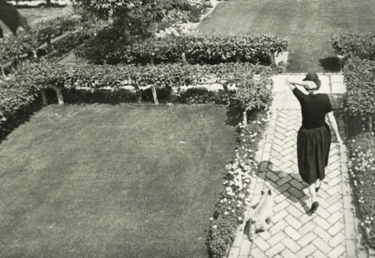 Screen shot 2014-10-28 at 7.54.44 AM